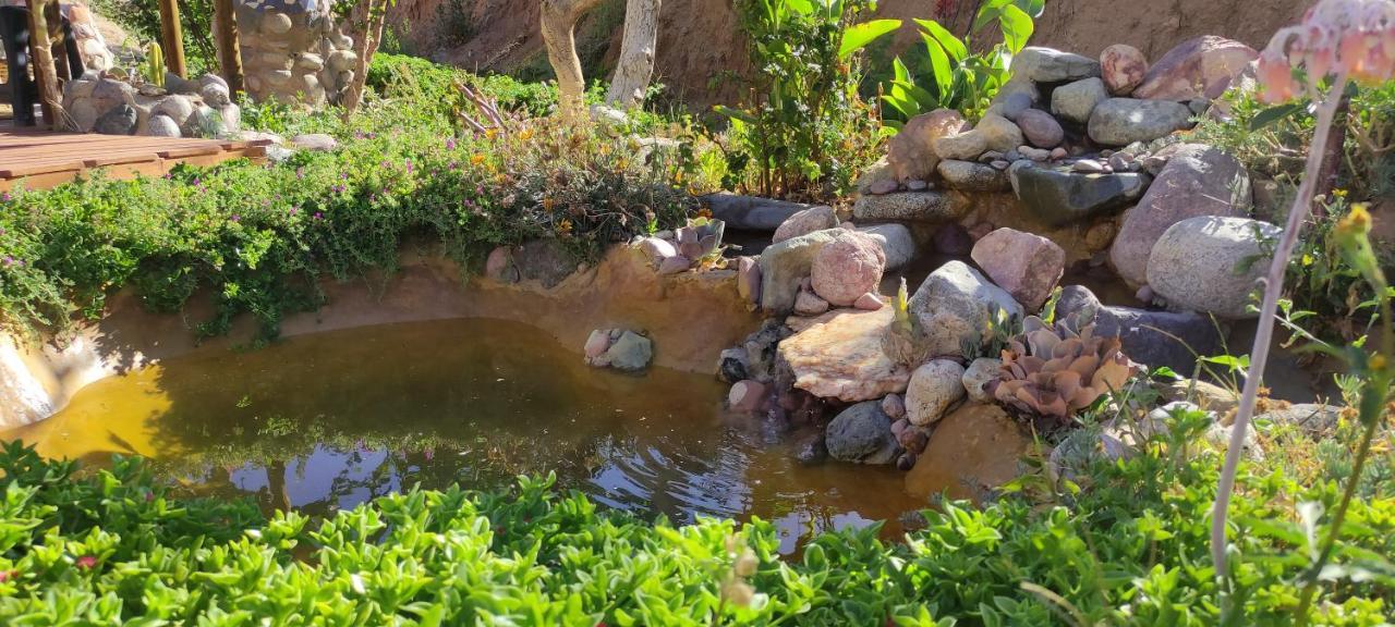 Casa Jardin De Hadas Con Vista Panoramica بيسكو إلكي المظهر الخارجي الصورة